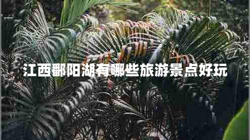 江西鄱陽湖有哪些旅游景點好玩