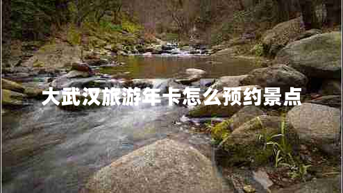 大武漢旅游年卡怎么預(yù)約景點