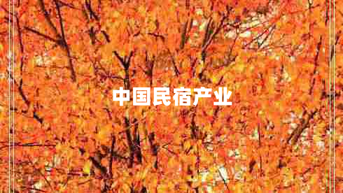 中國民宿產(chǎn)業(yè) 中國民宿產(chǎn)業(yè)
