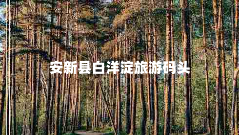 安新縣白洋淀旅游碼頭