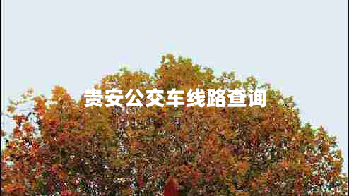 貴安公交車(chē)線(xiàn)路查詢(xún)