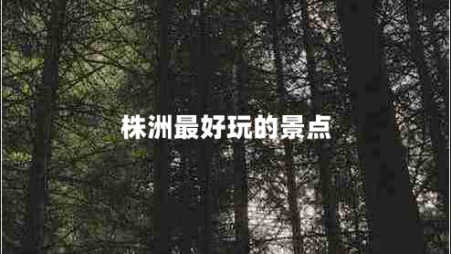 株洲最好玩的景點(diǎn)