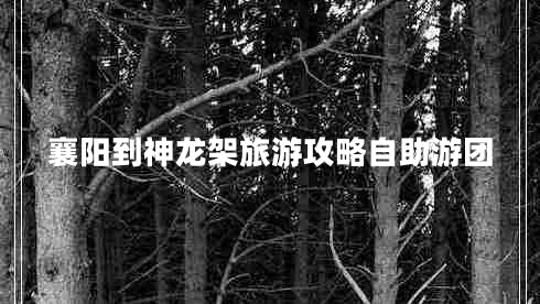 襄陽到神龍架旅游攻略自助游團(tuán)