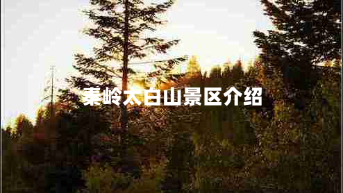 秦嶺太白山景區(qū)介紹 秦嶺太白山景區(qū)介紹