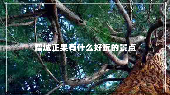 增城正果有什么好玩的景點 增城正果有什么好玩的景點