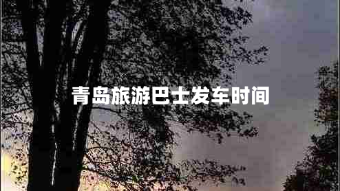 青島旅游巴士發(fā)車時間