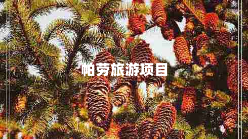 帕勞旅游項(xiàng)目