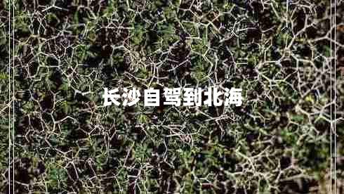 長(zhǎng)沙自駕到北海