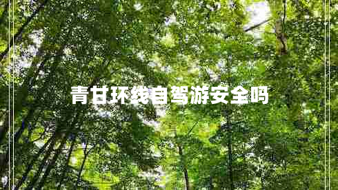 青甘環(huán)線自駕游安全嗎 青甘環(huán)線自駕游安全嗎