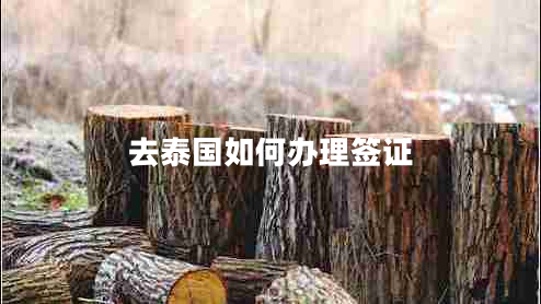 去泰國(guó)如何辦理簽證