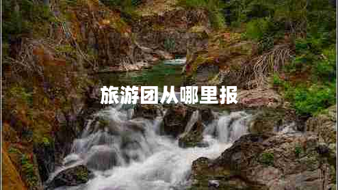 旅游團從哪里報 旅游團從哪里報