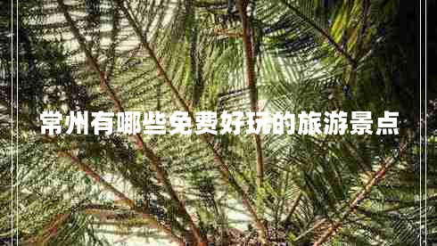 常州有哪些免費好玩的旅游景點