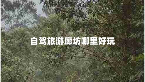 自駕旅游廊坊哪里好玩 自駕旅游廊坊哪里好玩