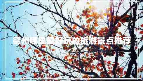 德州哪里最好玩的旅游景點(diǎn)推薦