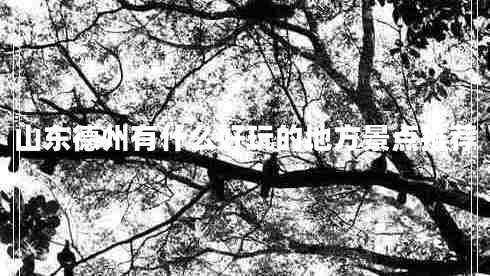 山東德州有什么好玩的地方景點推薦