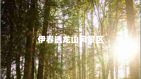 伊春透龍山風景區(qū)