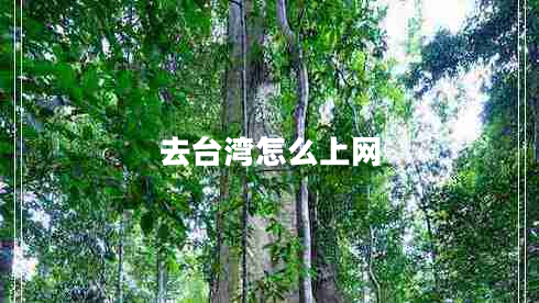 去臺灣怎么上網(wǎng)