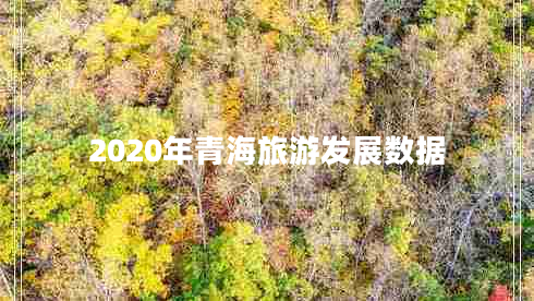 2020年青海旅游發(fā)展數(shù)據(jù)