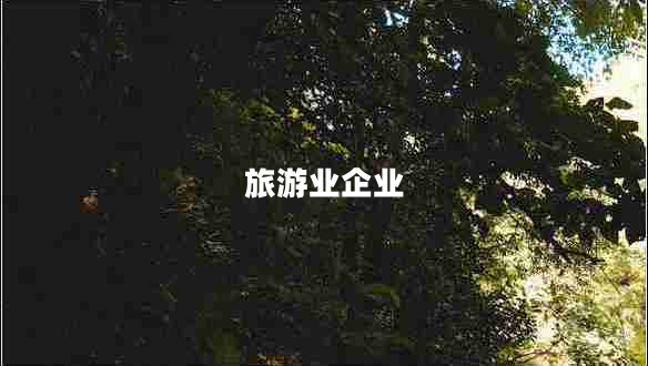 旅游業(yè)企業(yè)