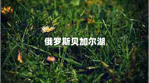 俄羅斯貝加爾湖