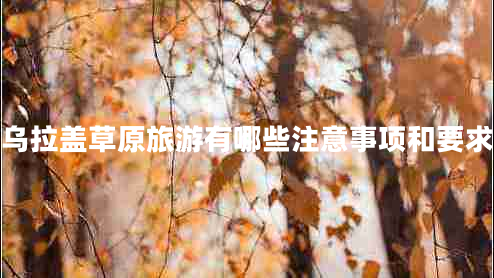 烏拉蓋草原旅游有哪些注意事項和要求