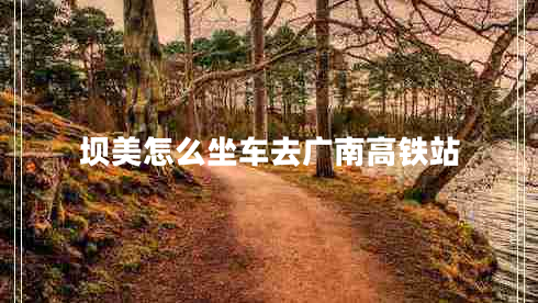 壩美怎么坐車去廣南高鐵站