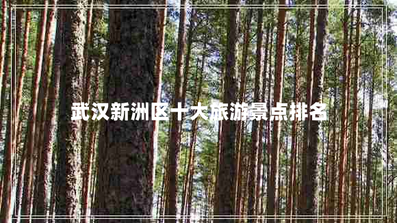 武漢新洲區(qū)十大旅游景點(diǎn)排名 武漢新洲區(qū)十大旅游景點(diǎn)排名