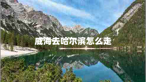 威海去哈爾濱怎么走 威海去哈爾濱怎么走