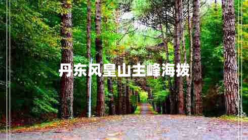 丹東風(fēng)皇山主峰海撥 丹東風(fēng)皇山主峰海撥