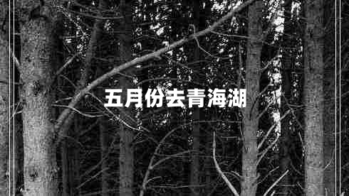 五月份去青海湖