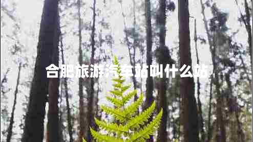 合肥旅游汽車站叫什么站