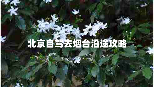 北京自駕去煙臺(tái)沿途攻略