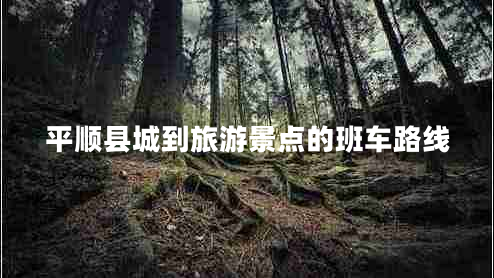 平順縣城到旅游景點的班車路線 平順縣城到旅游景點的班車路線