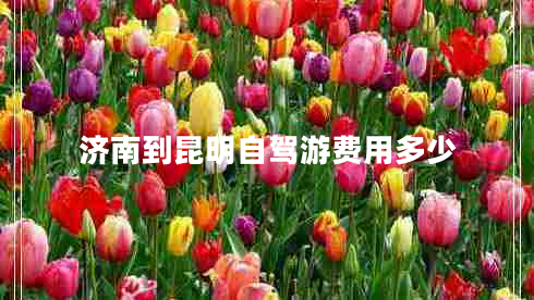 濟南到昆明自駕游費用多少