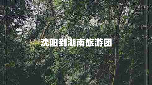 沈陽(yáng)到湖南旅游團(tuán)