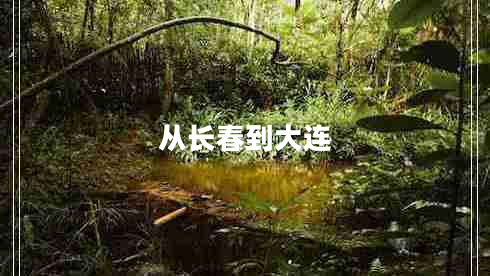 從長(zhǎng)春到大連