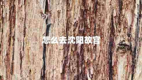 怎么去沈陽故宮