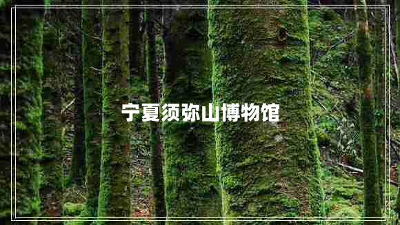 寧夏須彌山博物館