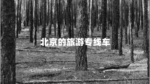 北京的旅游專線車