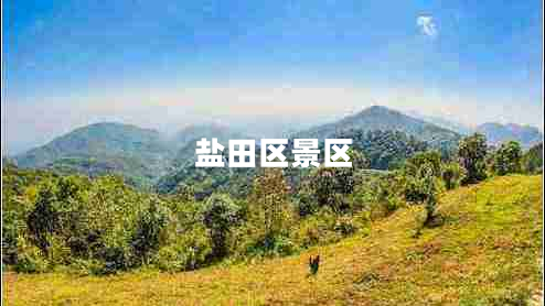 鹽田區(qū)景區(qū) 鹽田區(qū)景區(qū)