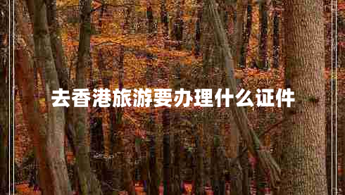 去香港旅游要辦理什么證件 去香港旅游要辦理什么證件