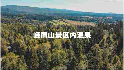 峨眉山景區(qū)內(nèi)溫泉