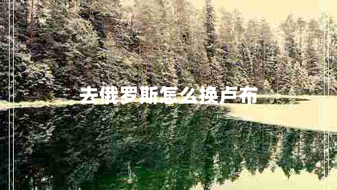 去俄羅斯怎么換盧布