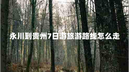 永川到貴州7日游旅游路線怎么走