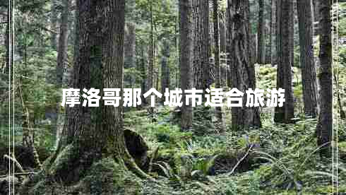 摩洛哥那個城市適合旅游