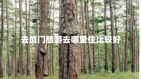 去廈門旅游去哪里住比較好