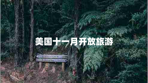 美國十一月開放旅游