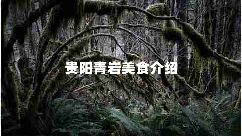 貴陽(yáng)青巖美食介紹 貴陽(yáng)青巖美食介紹