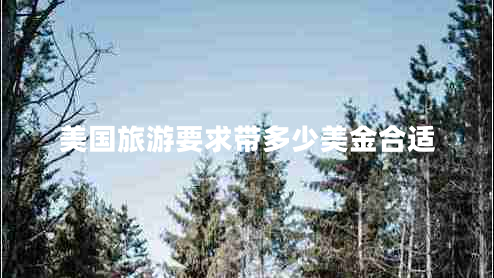 美國旅游要求帶多少美金合適