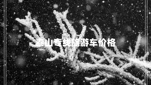 泰山專線旅游車價格